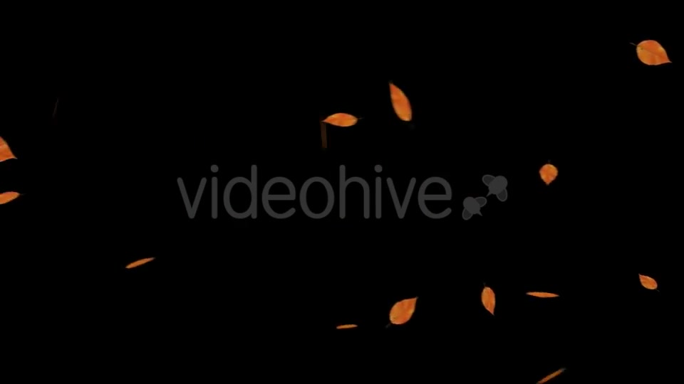 Falling Leaves With Alpha Channel Videohive 18739943 Motion Graphics Image 4