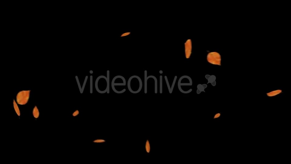 Falling Leaves With Alpha Channel Videohive 18739943 Motion Graphics Image 5