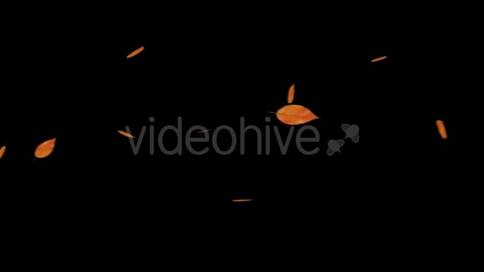 Falling Leaves With Alpha Channel Videohive 18739943 Motion Graphics Image 6