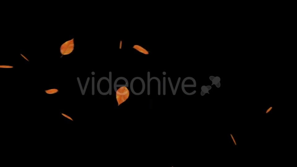 Falling Leaves With Alpha Channel Videohive 18739943 Motion Graphics Image 7
