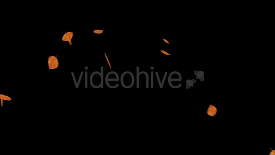 Falling Leaves With Alpha Channel Videohive 18739943 Motion Graphics Image 8