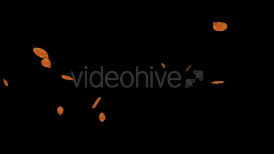 Falling Leaves With Alpha Channel Videohive 18739943 Motion Graphics Image 9