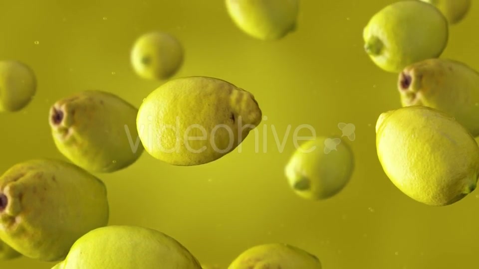 Falling Lemons Videohive 17241613 Motion Graphics Image 10