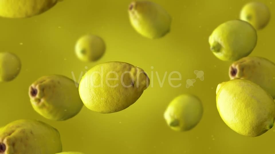 Falling Lemons Videohive 17241613 Motion Graphics Image 11