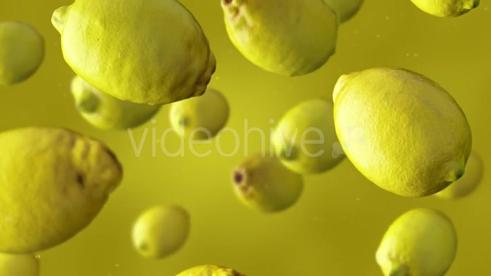 Falling Lemons Videohive 17241613 Motion Graphics Image 4