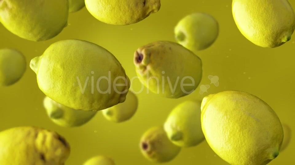 Falling Lemons Videohive 17241613 Motion Graphics Image 6