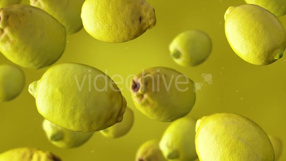 Falling Lemons Videohive 17241613 Motion Graphics Image 7
