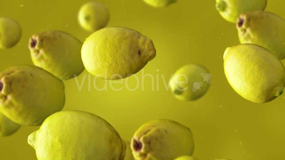 Falling Lemons Videohive 17241613 Motion Graphics Image 9