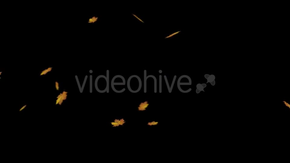 Falling Maple Leaves Videohive 18740068 Motion Graphics Image 2