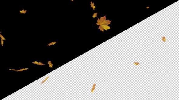 Falling Maple Leaves - 18740068 Download Videohive