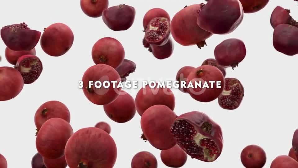 Falling Pomegranate Pack Videohive 24023934 Motion Graphics Image 10