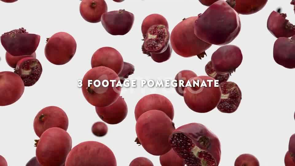 Falling Pomegranate Pack Videohive 24023934 Motion Graphics Image 11