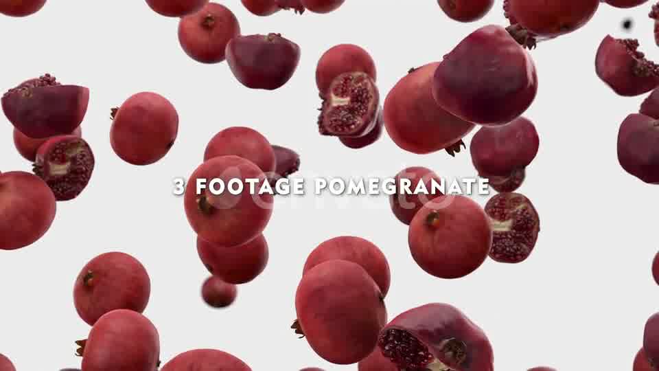 Falling Pomegranate Pack Videohive 24023934 Motion Graphics Image 12