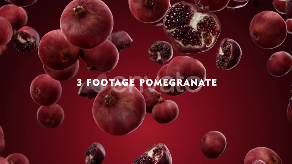 Falling Pomegranate Pack Videohive 24023934 Motion Graphics Image 2