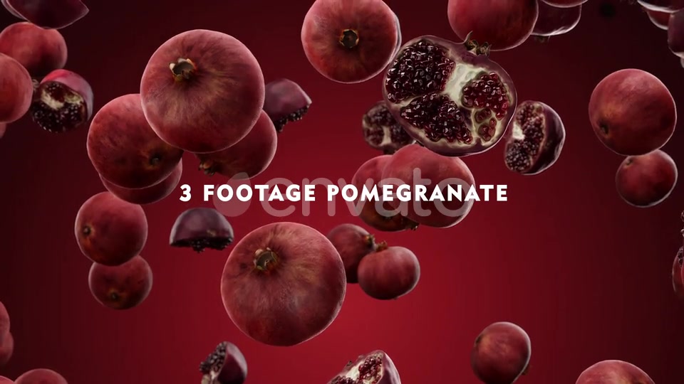 Falling Pomegranate Pack Videohive 24023934 Motion Graphics Image 3