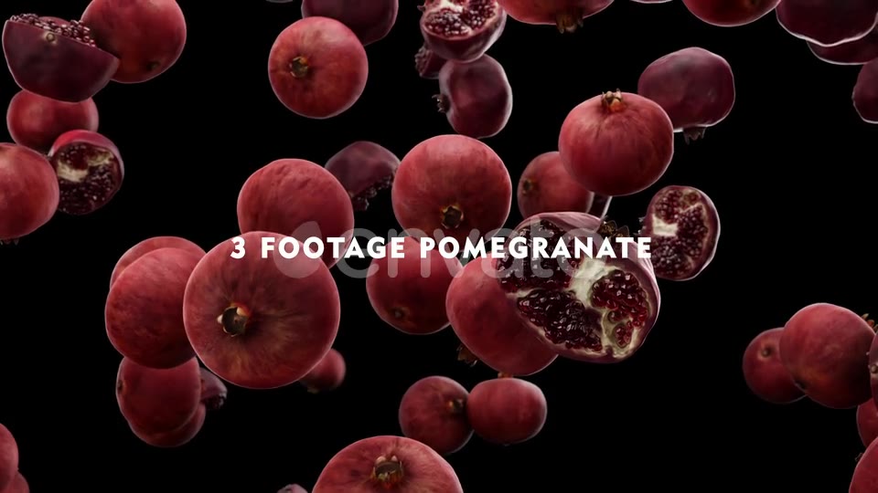 Falling Pomegranate Pack Videohive 24023934 Motion Graphics Image 7