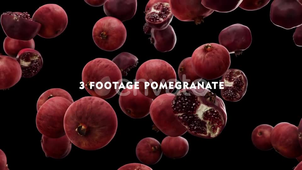 Falling Pomegranate Pack Videohive 24023934 Motion Graphics Image 8
