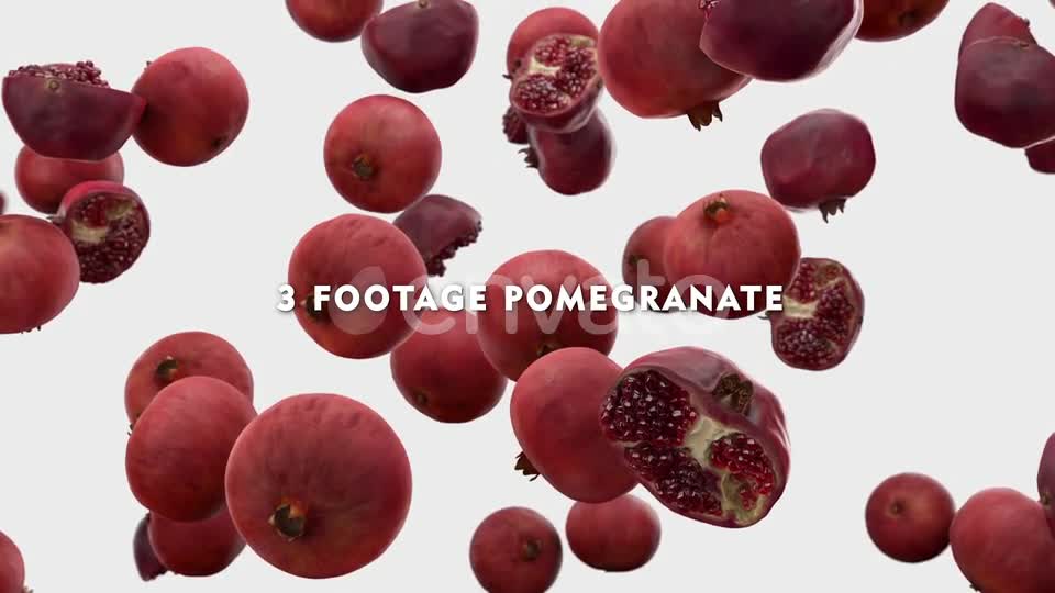 Falling Pomegranate Pack Videohive 24023934 Motion Graphics Image 9
