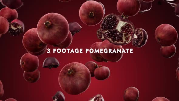 Falling Pomegranate Pack - 24023934 Download Videohive