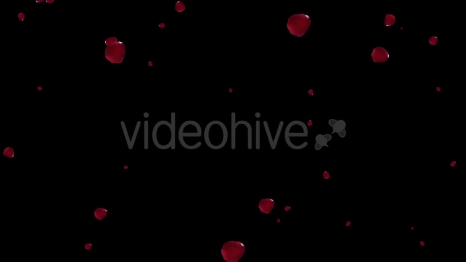 Falling Red Rose Petals Videohive 19445620 Motion Graphics Image 8