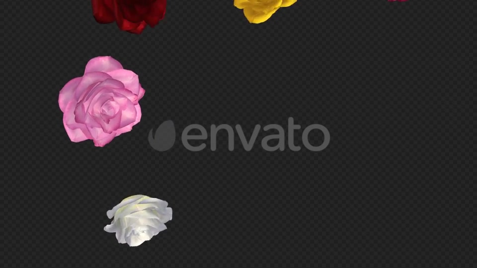Falling Roses Multicolored Loop Close View Videohive 21683374 Motion Graphics Image 7