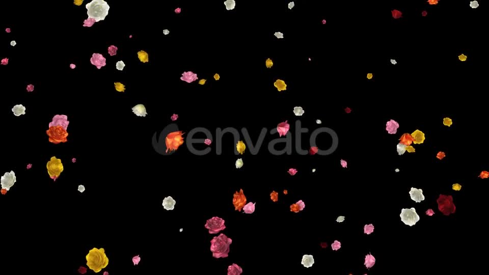 Falling Roses Multicolored Loop Videohive 21681714 Motion Graphics Image 1