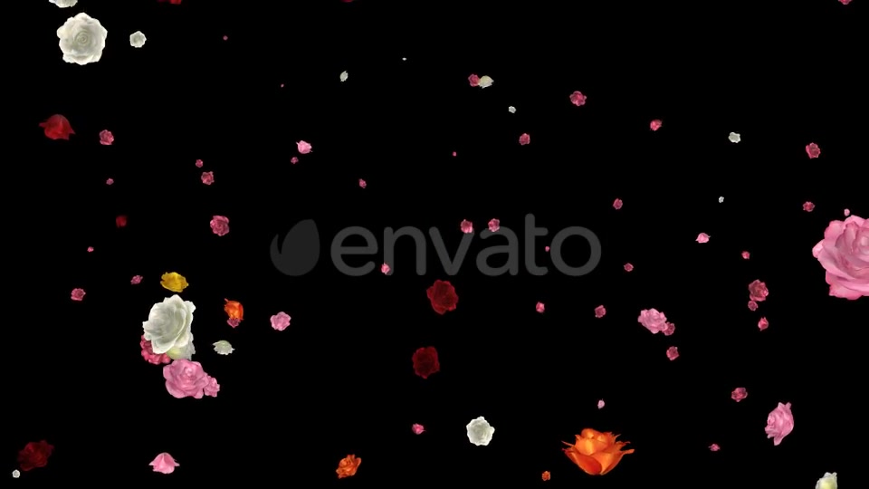 Falling Roses Multicolored Loop Videohive 21681714 Motion Graphics Image 10