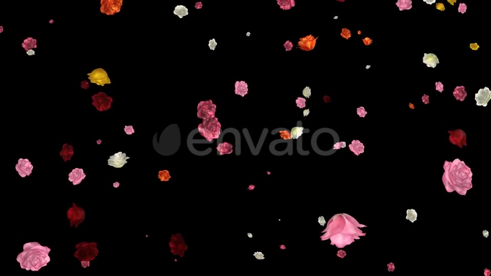Falling Roses Multicolored Loop Videohive 21681714 Motion Graphics Image 11