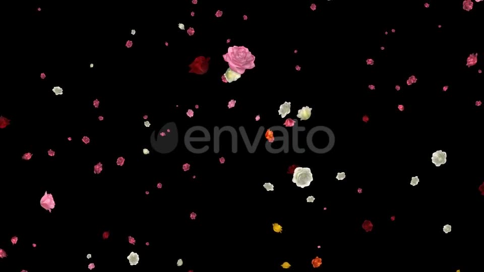 Falling Roses Multicolored Loop Videohive 21681714 Motion Graphics Image 2