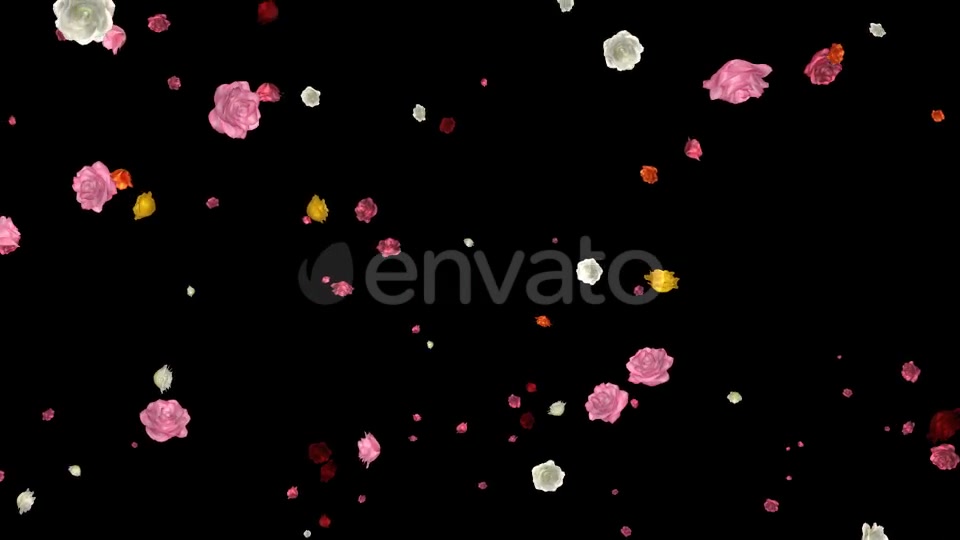 Falling Roses Multicolored Loop Videohive 21681714 Motion Graphics Image 3