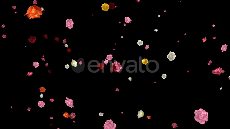 Falling Roses Multicolored Loop Videohive 21681714 Motion Graphics Image 4