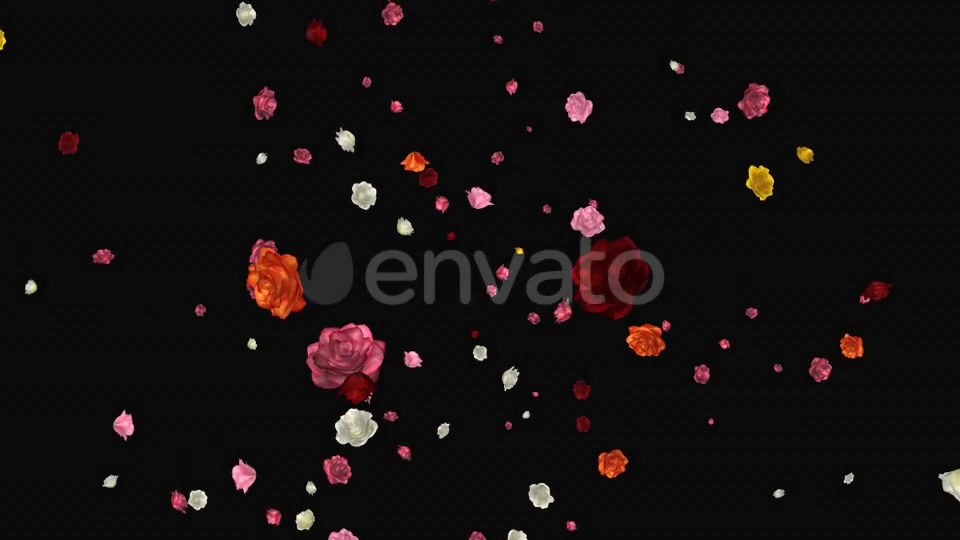 Falling Roses Multicolored Loop Videohive 21681714 Motion Graphics Image 6