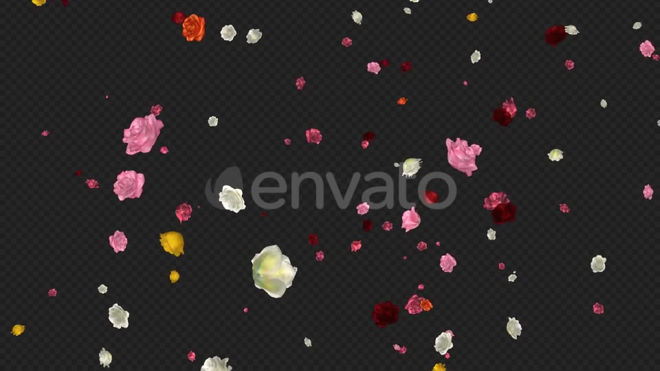 Falling Roses Multicolored Loop Videohive 21681714 Motion Graphics Image 8