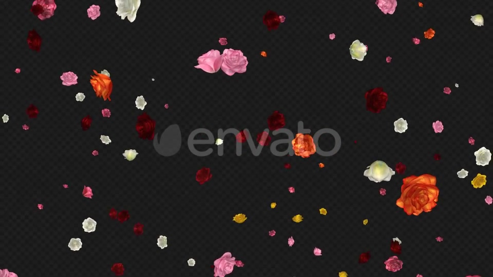 Falling Roses Multicolored Loop Videohive 21681714 Motion Graphics Image 9
