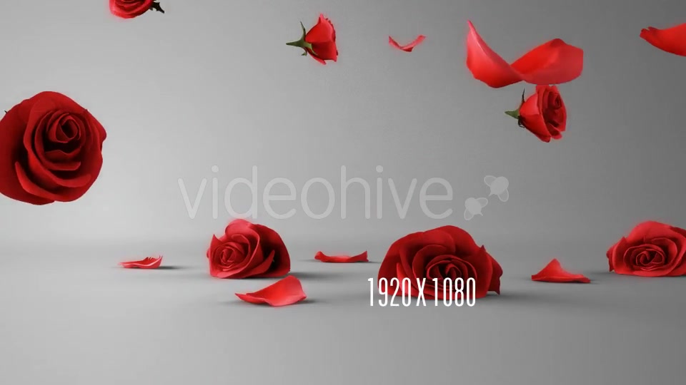 Falling Roses Version 01 Videohive 16072621 Motion Graphics Image 4