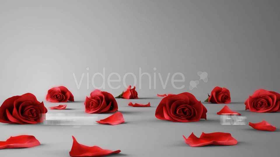Falling Roses Version 01 Videohive 16072621 Motion Graphics Image 5