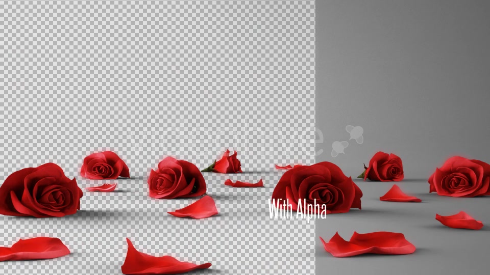 Falling Roses Version 01 Videohive 16072621 Motion Graphics Image 6