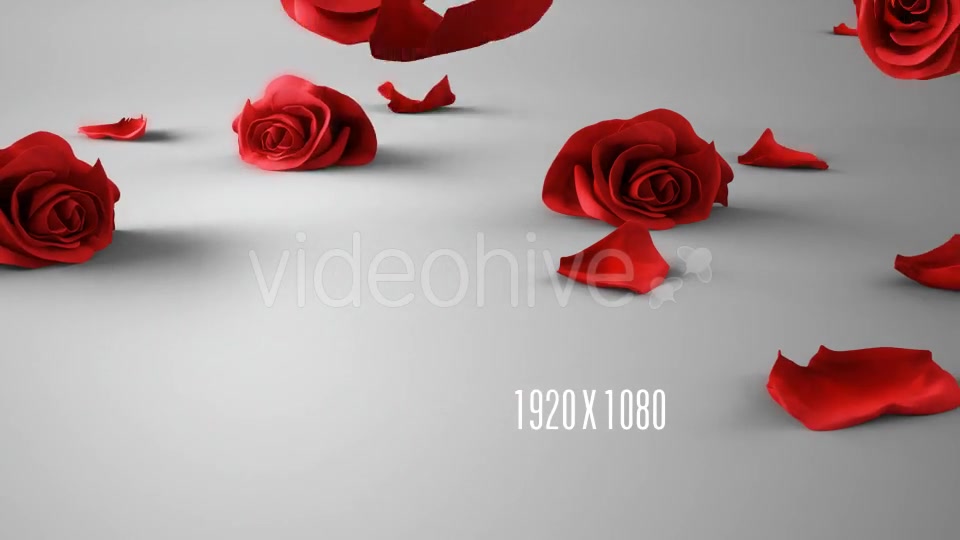 Falling Roses Version 02 Videohive 16072672 Motion Graphics Image 4