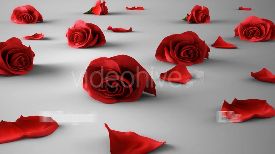 Falling Roses Version 02 Videohive 16072672 Motion Graphics Image 5