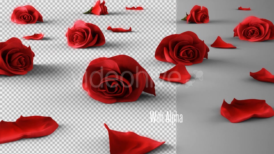 Falling Roses Version 02 Videohive 16072672 Motion Graphics Image 6