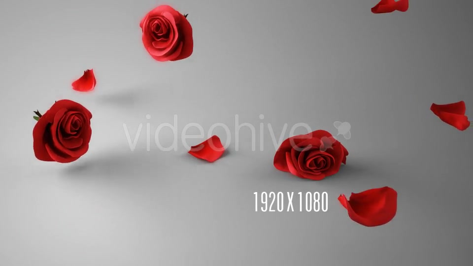 Falling Roses Version 03 Videohive 16072685 Motion Graphics Image 4