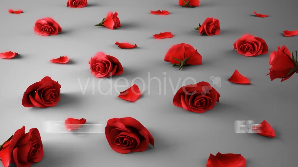 Falling Roses Version 03 Videohive 16072685 Motion Graphics Image 5