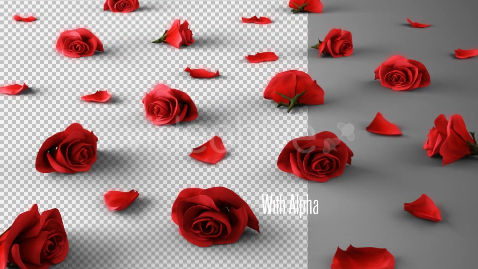 Falling Roses Version 03 Videohive 16072685 Motion Graphics Image 6