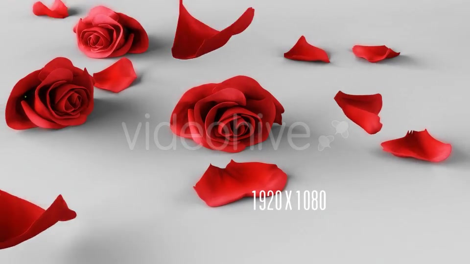 Falling Roses Version 04 Videohive 16073906 Motion Graphics Image 4