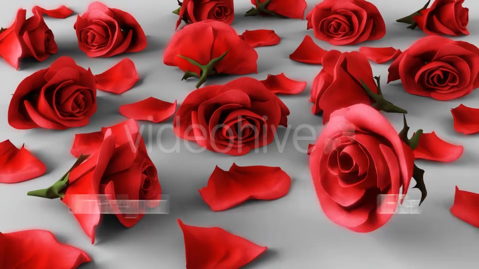 Falling Roses Version 04 Videohive 16073906 Motion Graphics Image 5