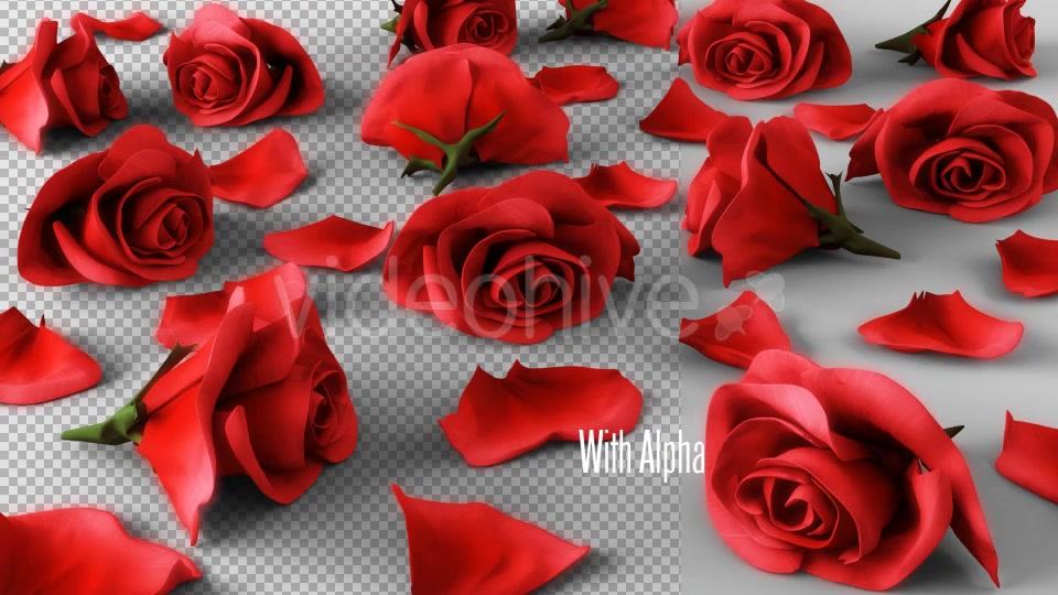 Falling Roses Version 04 Videohive 16073906 Motion Graphics Image 6