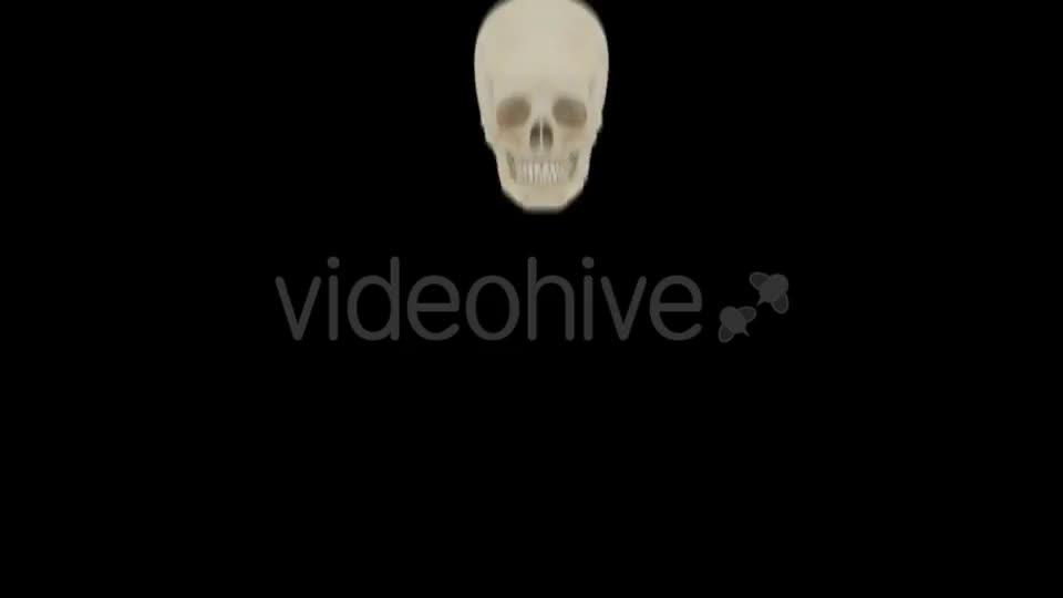 Falling Skulls Transition Videohive 18728019 Motion Graphics Image 1