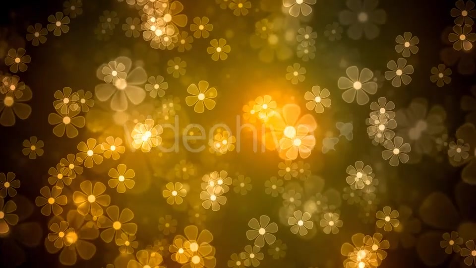 Fantasy Flowers Videohive 16747379 Motion Graphics Image 3