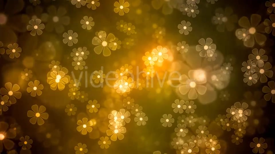Fantasy Flowers Videohive 16747379 Motion Graphics Image 4