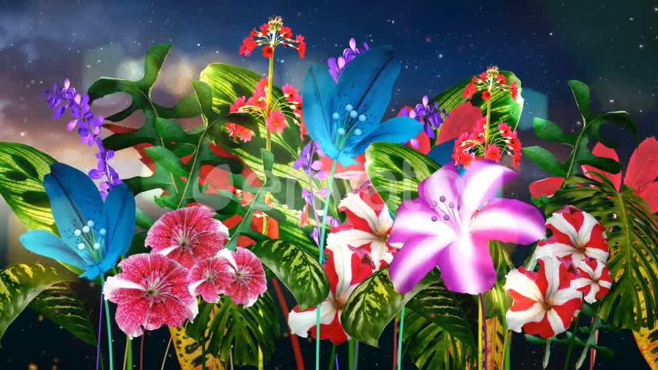 Fantasy Garden Videohive 22293892 Motion Graphics Image 8